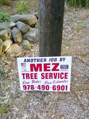 MEZ Tree Service