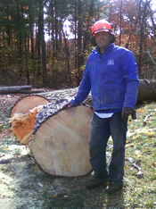 TREE Cutting Bucket