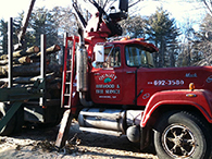 Tree Removing Truck